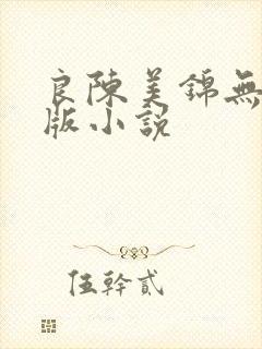 良陈美锦无删减版小说