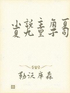 小说主角夏天大夏九皇子司马兰