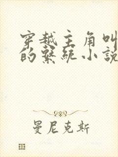 穿越主角叫陆羽的系统小说