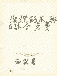 灿烂的风与海36集全免费