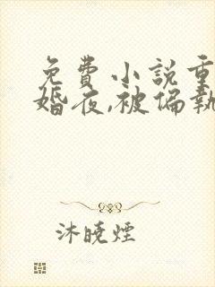 免费小说重生新婚夜,被偏执大佬亲疯了