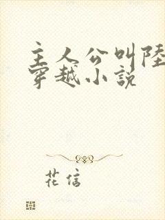 主人公叫陆羽的穿越小说