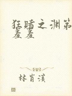 狂赌之渊第几集羞羞