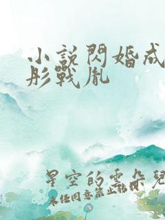 小说闪婚成宠海彤战胤