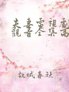 夫妻电视剧免费观看全集高清完整版下载