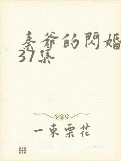 秦爷的闪婚短剧37集