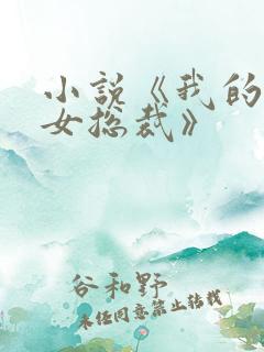 小说《我的冰山女总裁》
