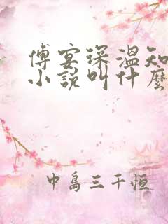 傅宴琛温知意的小说叫什么名字?