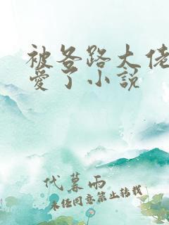 被各路大佬强制爱了小说