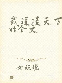 武道凌天下载txt全文