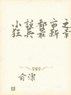 小说都市之最强狂兵最新章节