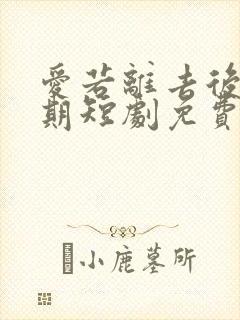 爱若离去后会无期短剧免费看