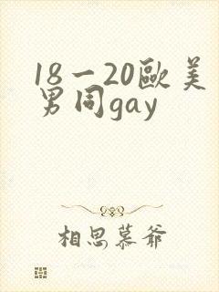 18一20欧美男同gay