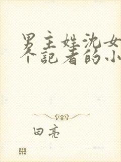 男主姓沈女主是个记者的小说