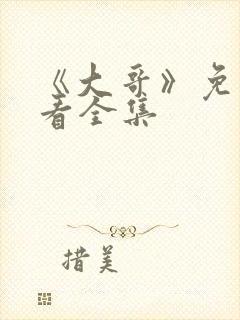 《大哥》免费观看全集