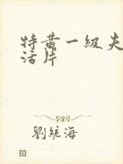 特黄一级夫妻生活片
