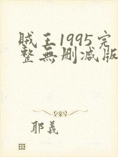 贼王1995完整无删减版