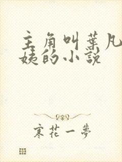 主角叫叶凡和小姨的小说