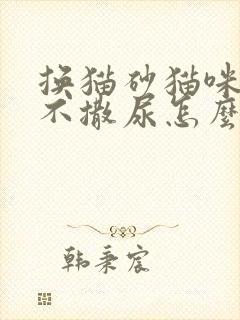 换猫砂猫咪两天不撒尿怎么办