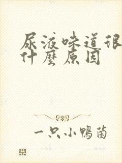 尿液味道很大是什么原因