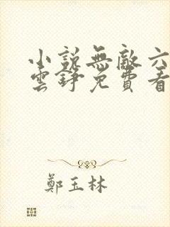 小说无敌六皇子云铮免费看