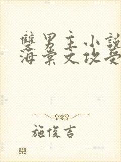 双男主小说高干海棠文攻受