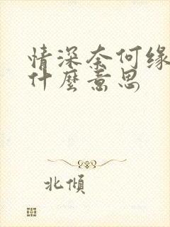 情深奈何缘浅是什么意思