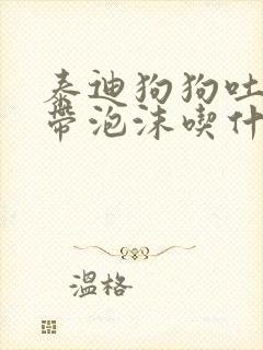 泰迪狗狗吐黄水带泡沫吃什么药