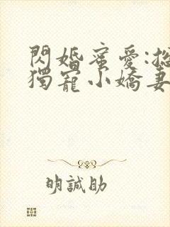 闪婚蜜爱:总裁独宠小娇妻