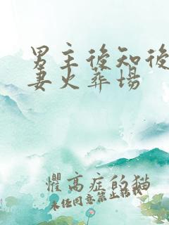 男主后知后觉追妻火葬场