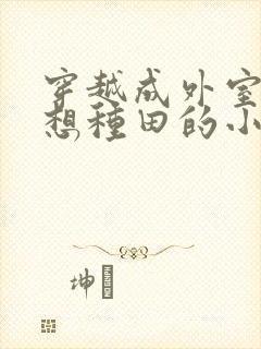 穿越成外室我只想种田的小说