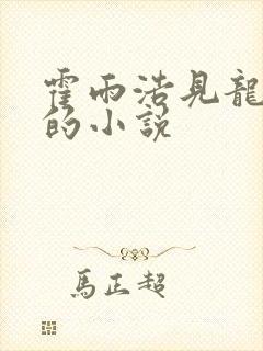 霍雨浩见龙皓晨的小说