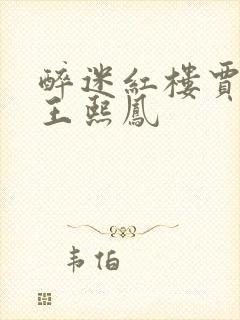 醉迷红楼贾环和王熙凤