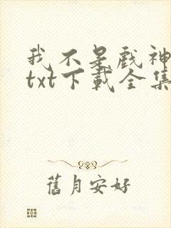 我不是戏神小说txt下载全集