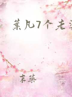 叶凡7个老婆