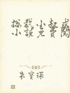 总裁小叔求放过小说免费阅读全文