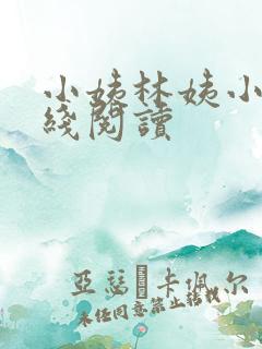 小姨林姨小说在线阅读