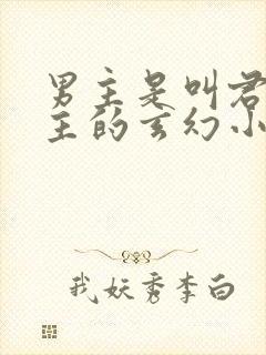 男主是叫君家少主的玄幻小说