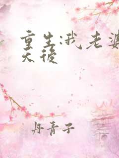 重生:我老婆是天后