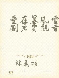 爱在暴风雪电视剧免费观看全集高清