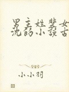 男主姓裴女主姓沈的小说古风小说