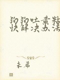 狗狗吐黄粘液最快解决办法