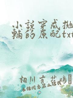 小说穿成抛弃首辅的原配txt下载