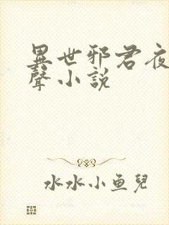 异世邪君夜风有声小说