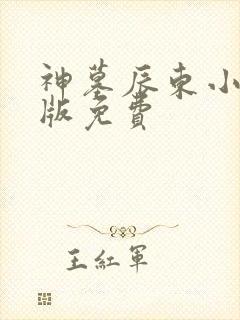 神墓辰东小说正版免费