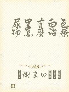 尿里有白色沉淀物怎么治疗