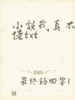 小说我真不是大佬txt