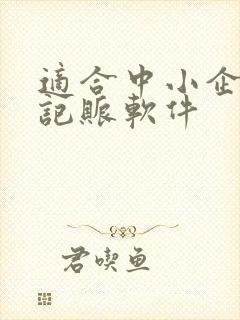 适合中小企业的记账软件