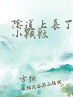 阴道上长了白色小颗粒