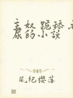 主奴 跪舔 吞尿的小说